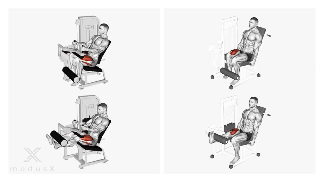 Bild zum Thema Beinstrecken an der Beinstrecker-Maschine