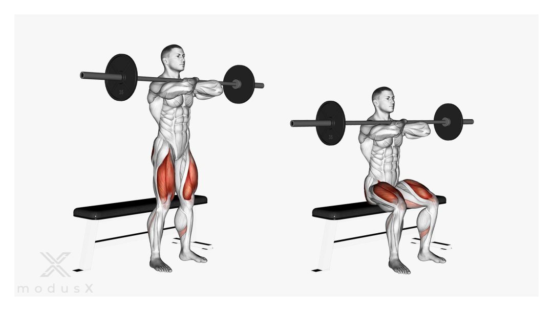 Bild zum Thema Box Front Squat