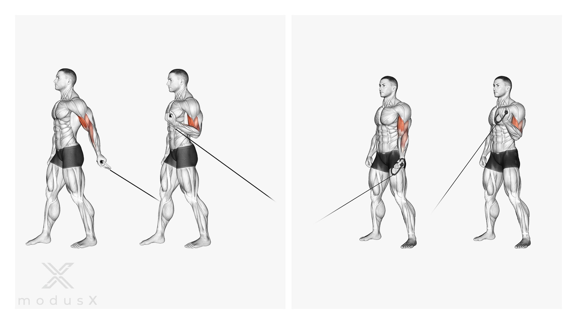 Cable Curl mit einem Arm am tiefen Block