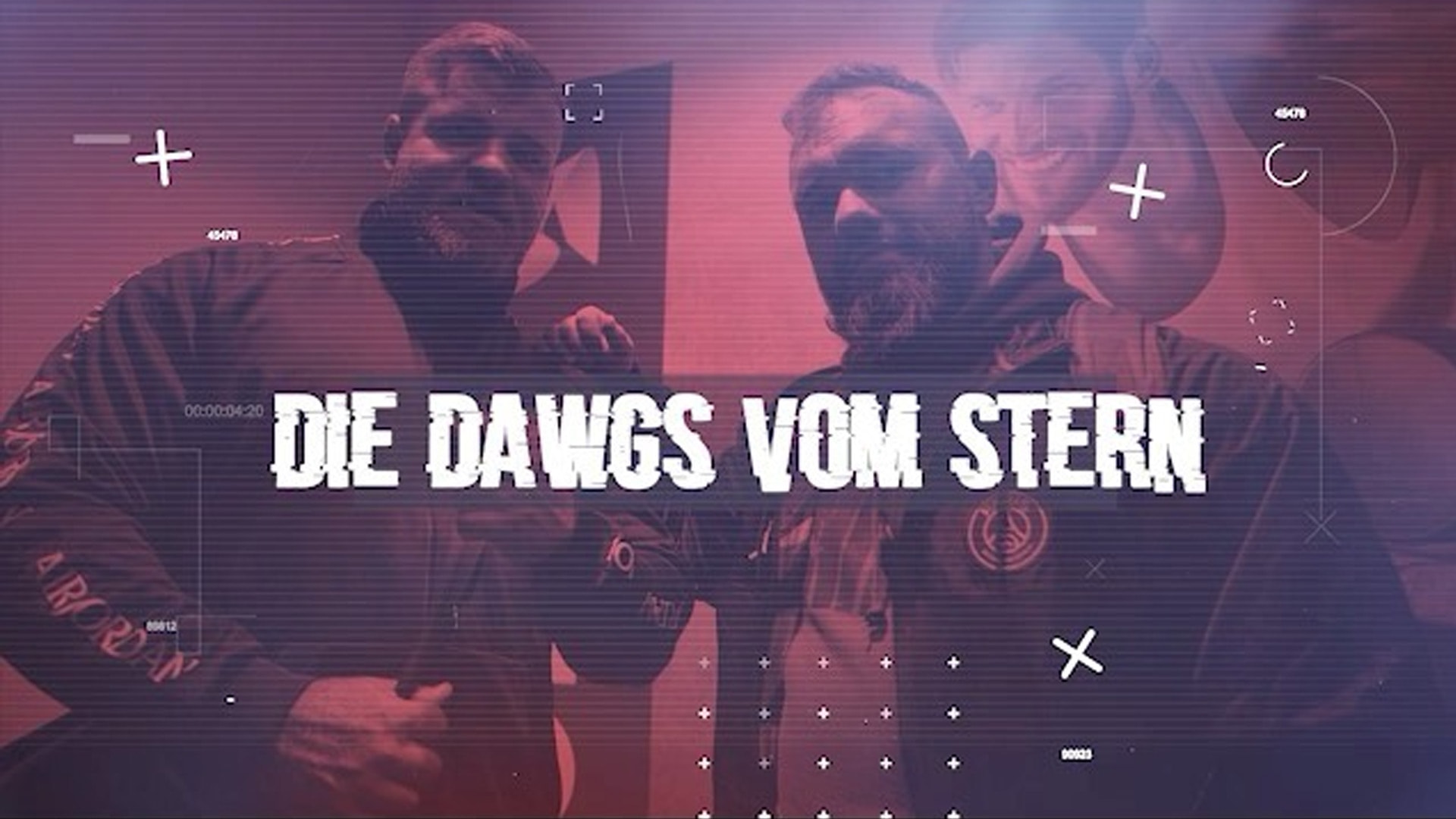 Bild zum Thema YouTube-Kanal “Dawgs vom Stern” startet am 1. März 2020