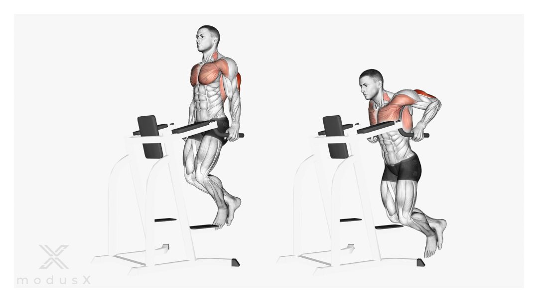 Dips für den Trizeps hängend an der Dipmaschine