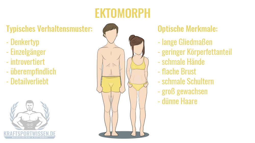 Ektomorpher Körpertyp Eigenschaften