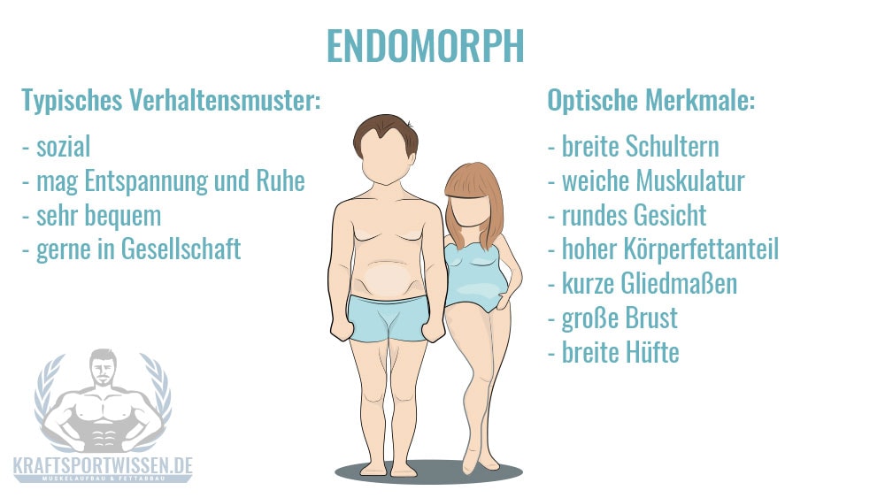 Endomorpher Körpertyp Eigenschaften