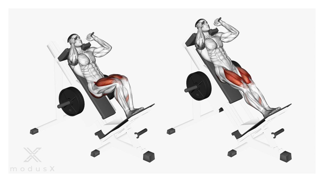 Bild zum Thema Enge Squats an der Squat-Maschine