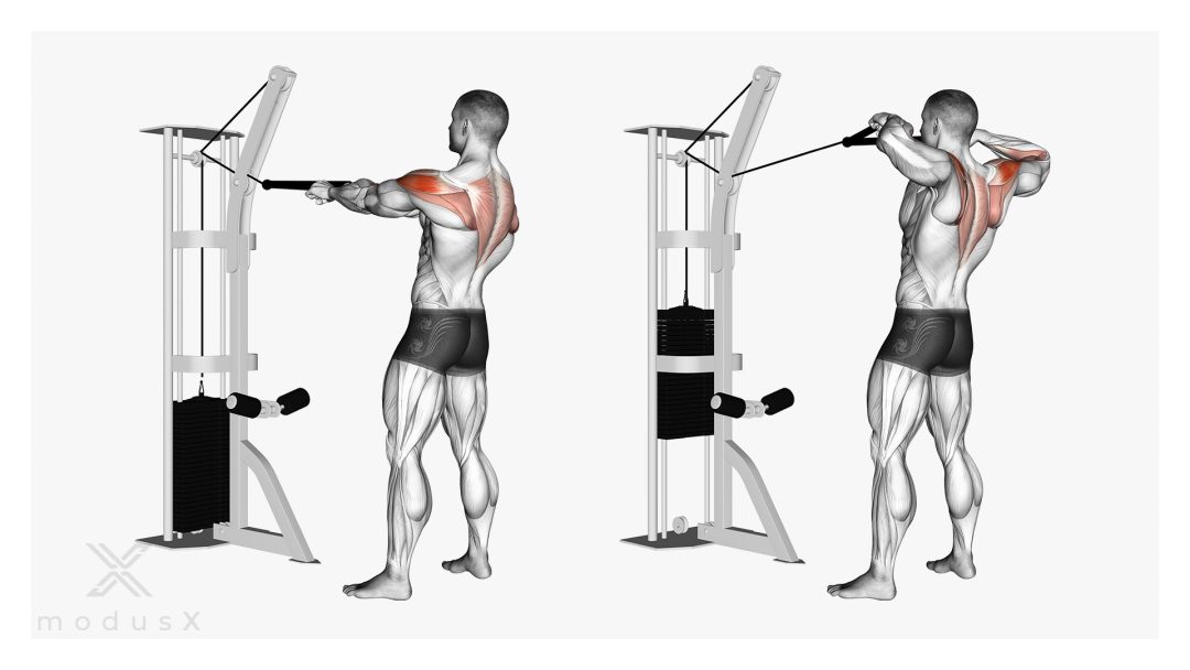 Face Pulls am Kabelzug