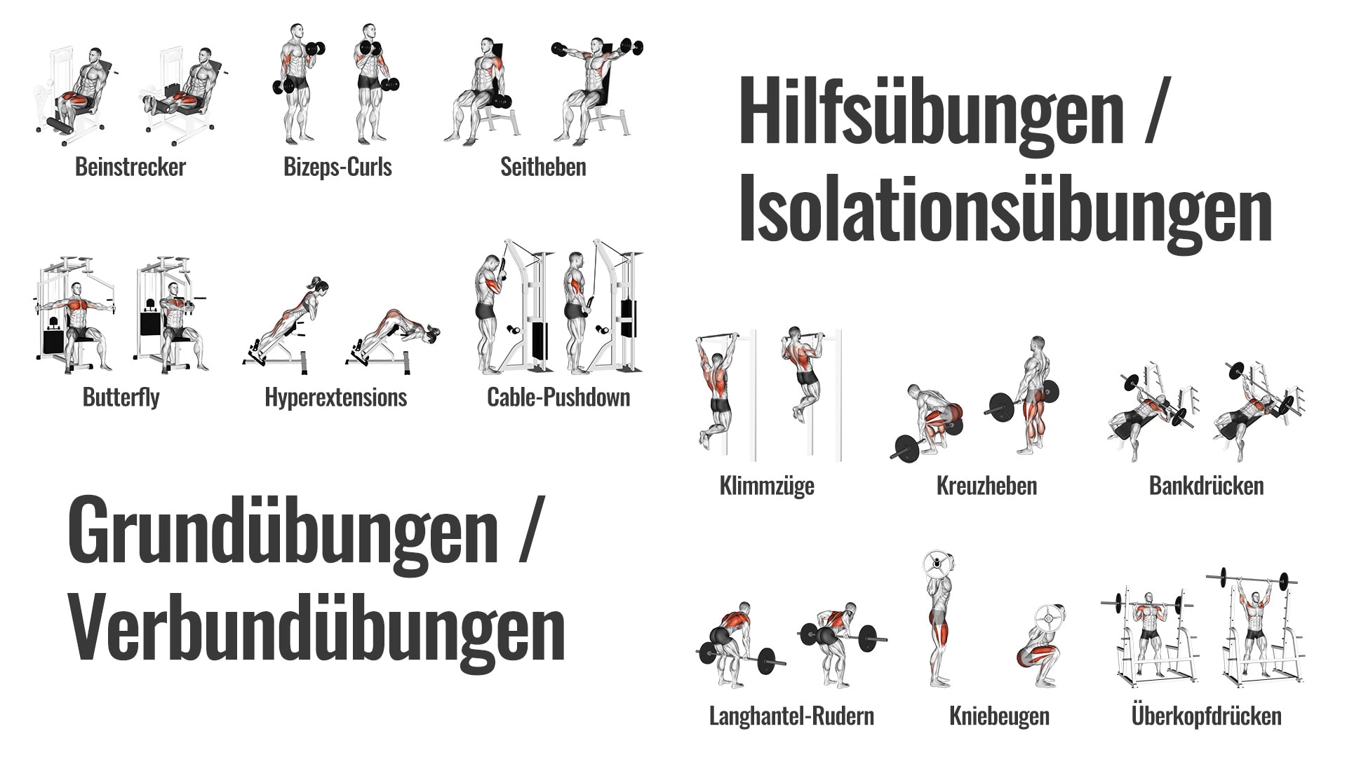 Fitness-Übungen Auswahl