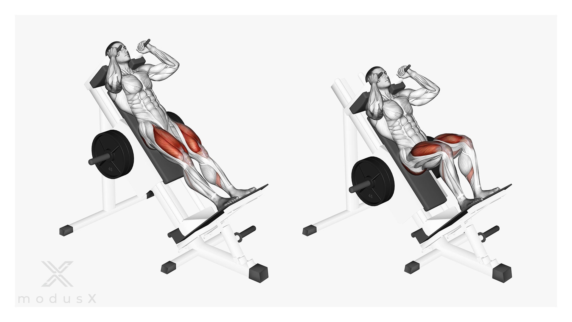 Hackenschmidt Kniebeuge mit neutralem Stand