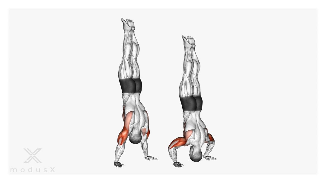 Handstand Push-Up