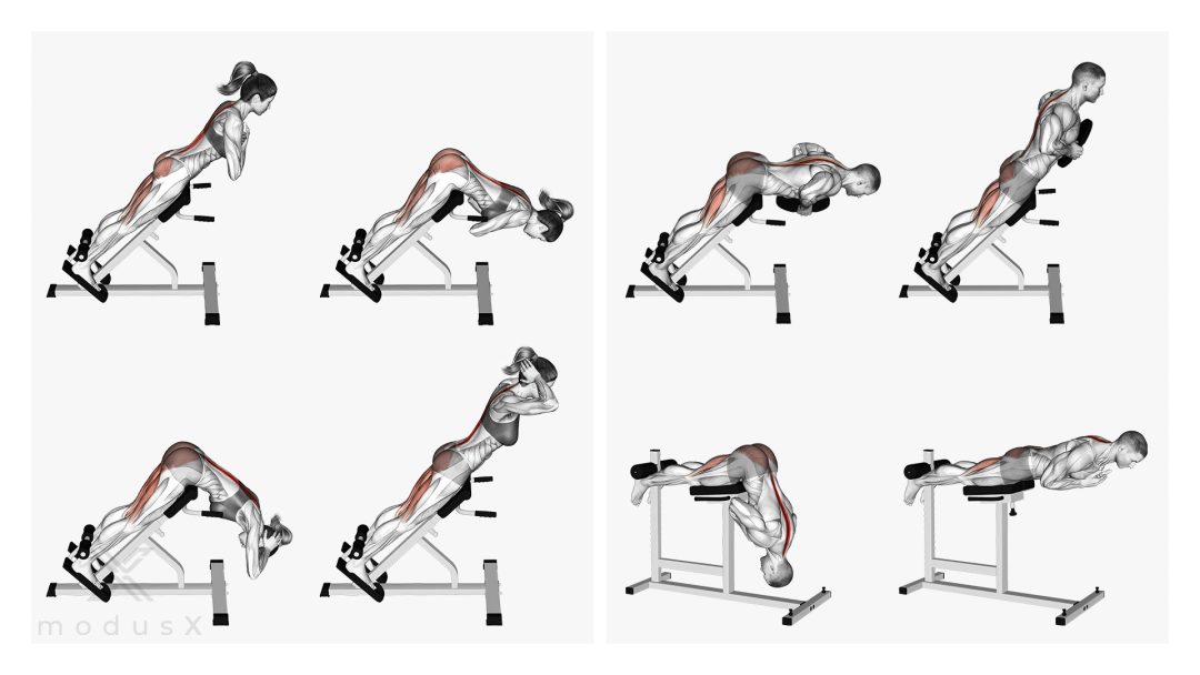 Bild zum Thema Hyperextensions auf der Hyperextension-Bank