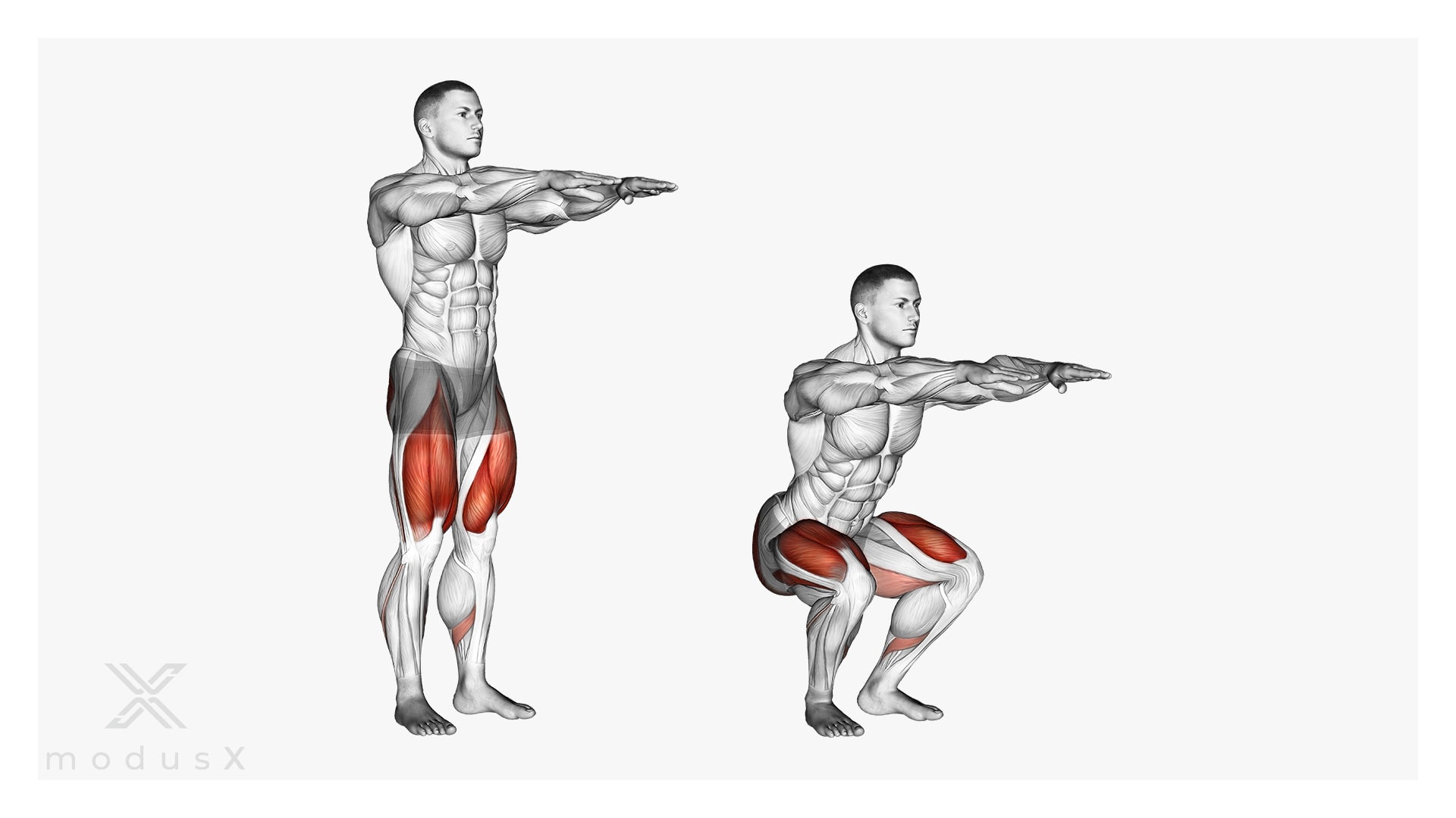 Kniebeugen ohne Gewicht / Air Squat