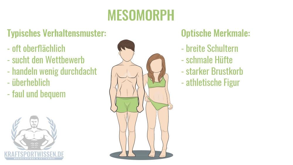 Mesomorpher Körpertyp Eigenschaften