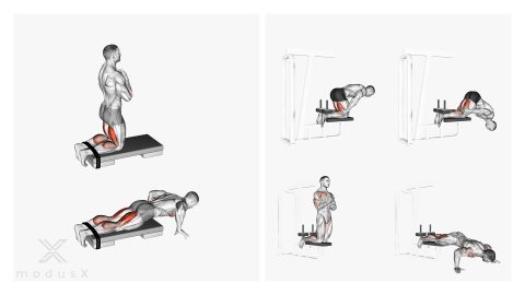 Nordic Hamstring Curls