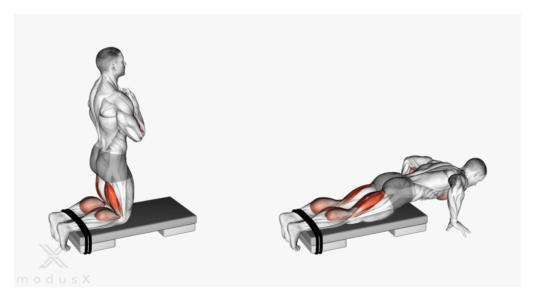 Bild zum Thema Nordic Hamstring Curls ohne Gerät