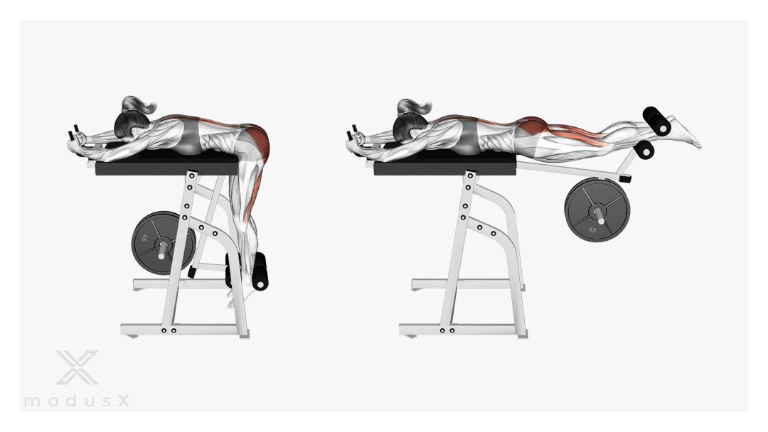 Bild zum Thema Reverse Hyperextensions am speziellen Gerät