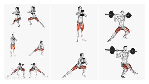 Side Lunges / seitliche Ausfallschritte